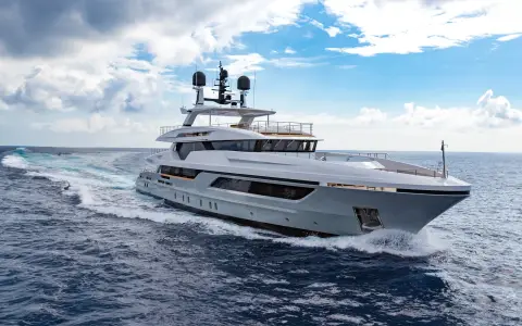 Baglietto Silver fox, official model image