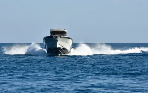 Bluegame, representative image from the BG 42