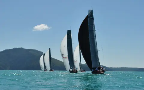 McConaghy, representative image from the MC38