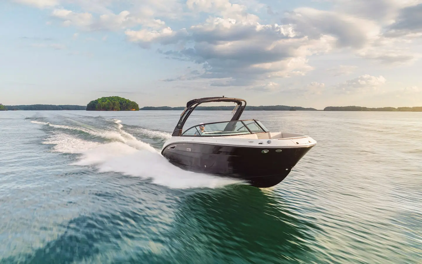 Sea Ray Sea Ray SDX 250, official model image