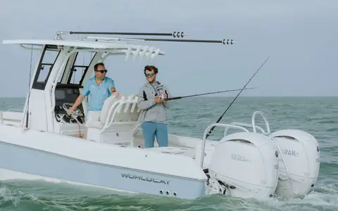 World Cat World Cat TM 235TE, official model image