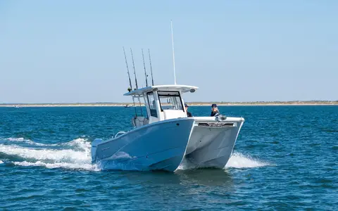 World Cat, representative image from the World Cat TM 265CC-X