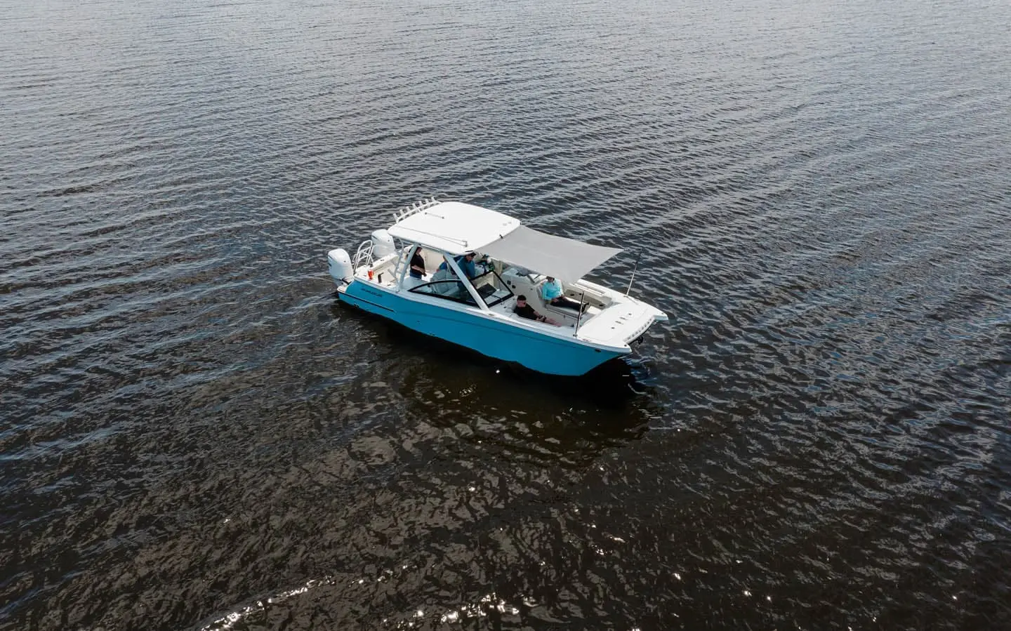 World Cat World Cat TM 280DC-X, official model image