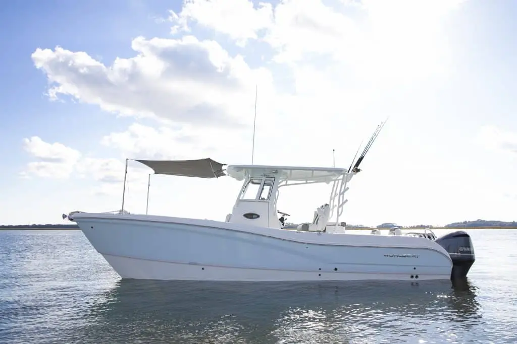 World Cat World Cat TM 295CC, official model image