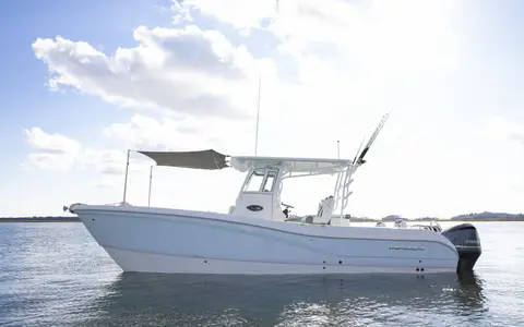 World Cat World Cat TM 295CC, official model image