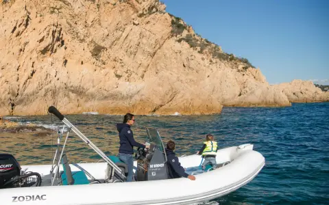 Zodiac Nautic MEDLINE 580, official model image